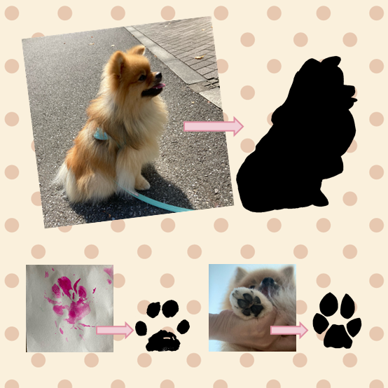 img20221023160930442193.png